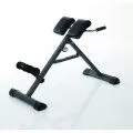 Rug trainer