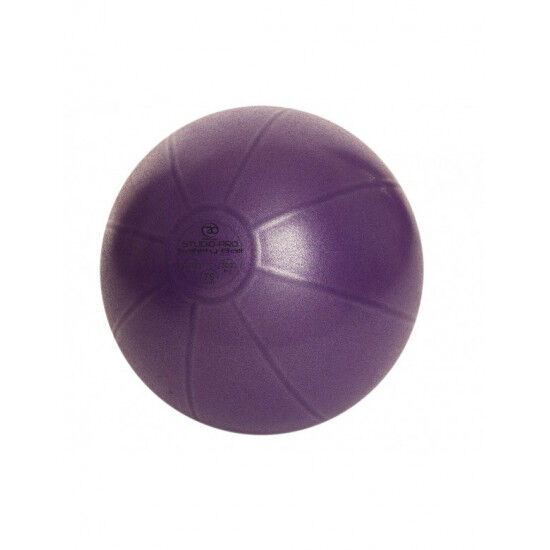 Swiss Ball 500 kg, 65 cm met pomp