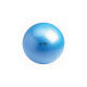 Swiss Ball 300 kg, 55 cm zonder pomp en DVD