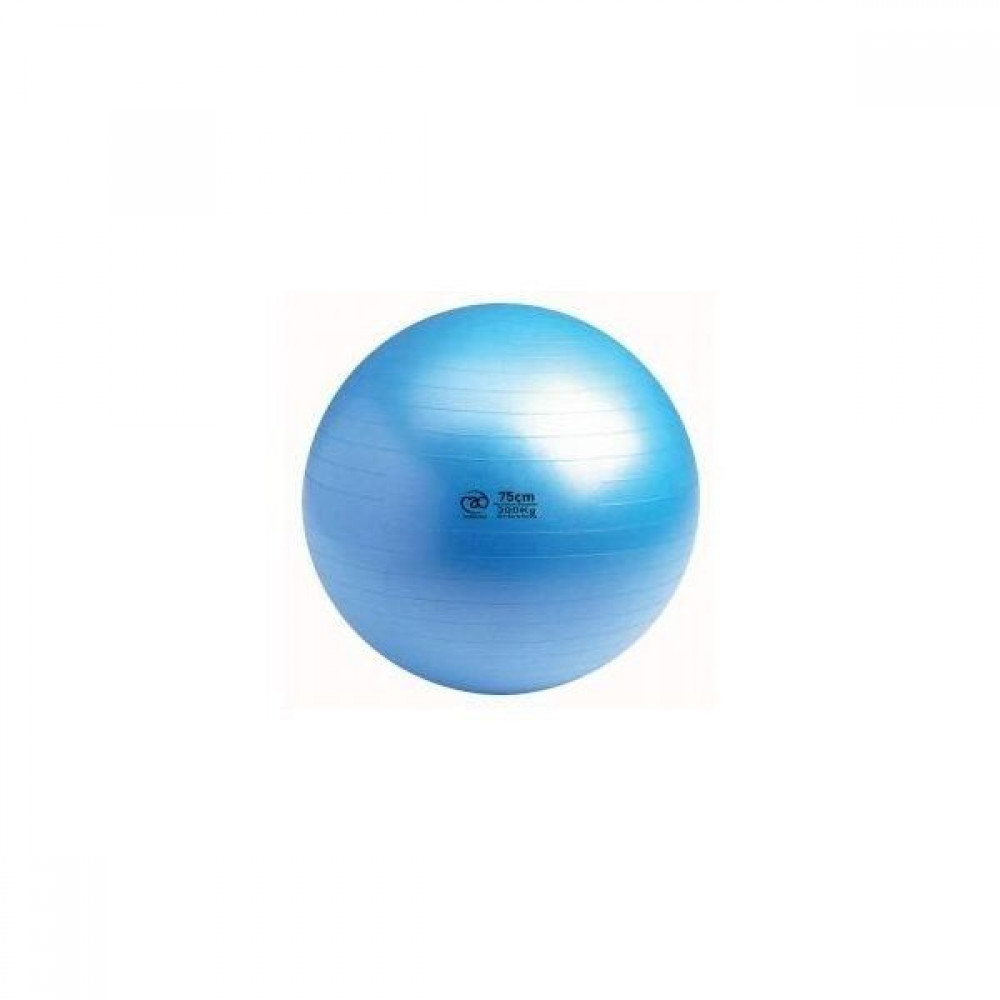 65 cm Swiss Ball