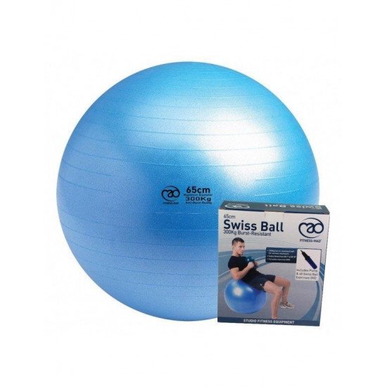 Swiss Ball 300 kg, 65 cm met pomp en online workout