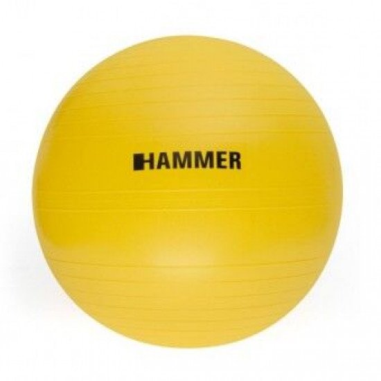 Fitnessball Hammer Ø55cm