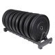 Body-Solid Rubber Bumper Plate Rack GBPR10