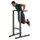 Body-Solid GDIP59 Dip Station