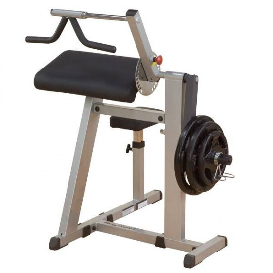 Body-Solid Biceps / Triceps Machine GCBT380